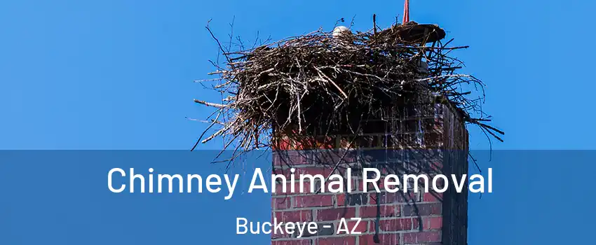 Chimney Animal Removal Buckeye - AZ