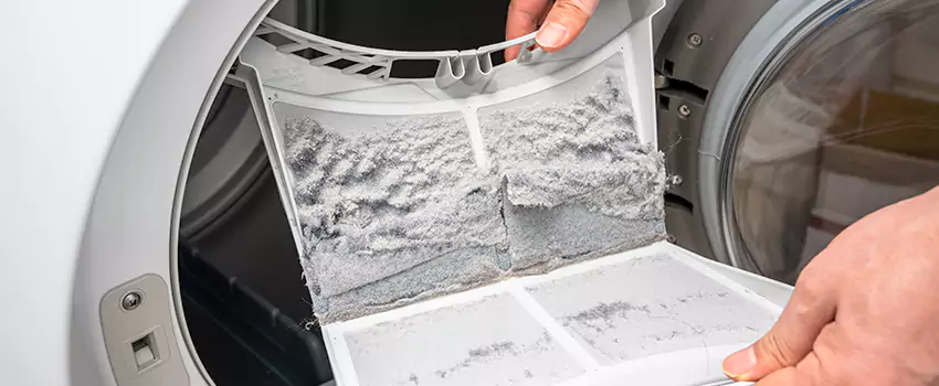 Best Dryer Lint Removal Company in Buckeye, Arizona