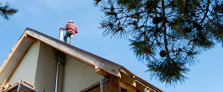 Birds Removal Contractors from Chimney in Buckeye, AZ