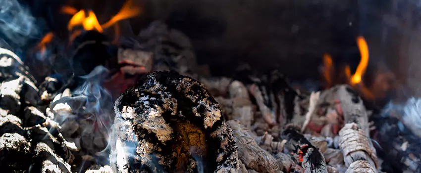Creosote Removal Experts in Buckeye, AZ