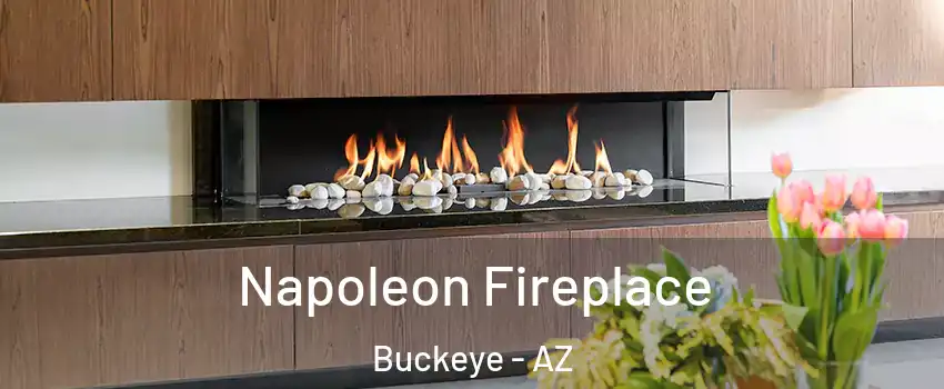  Napoleon Fireplace Buckeye - AZ